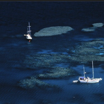 Great Barrier Reef- excerpt from "No Return Ticket- Leg Two"